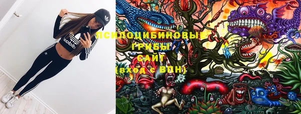 ешки Вязники