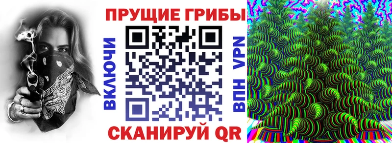 Купить где  Калач  Псилоцибиновые грибы Magic Shrooms 